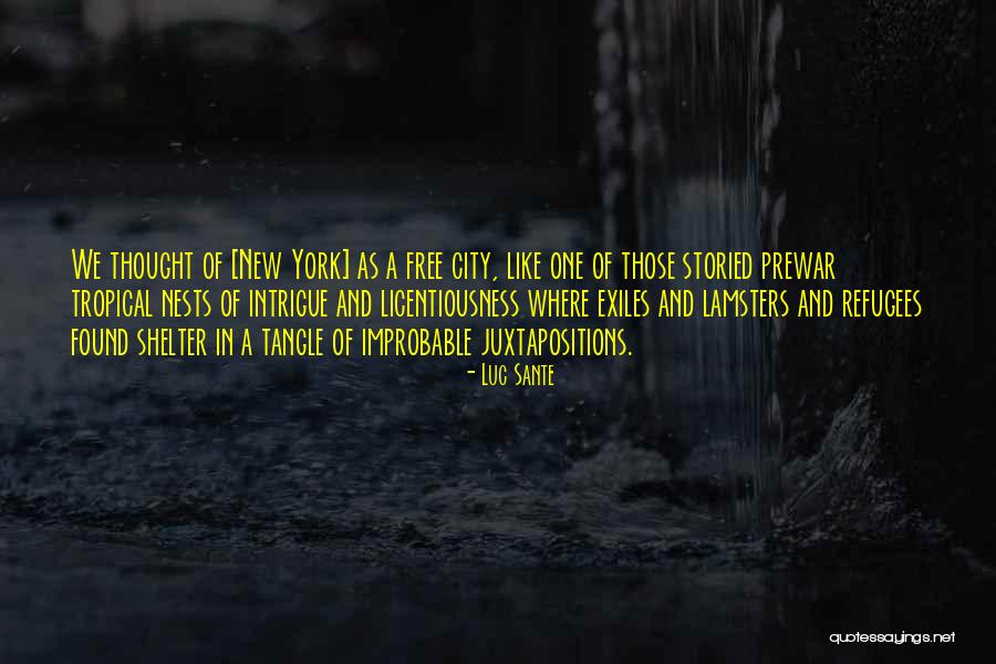 Olshan Quotes By Luc Sante Olshan Quotes By Luc Sante