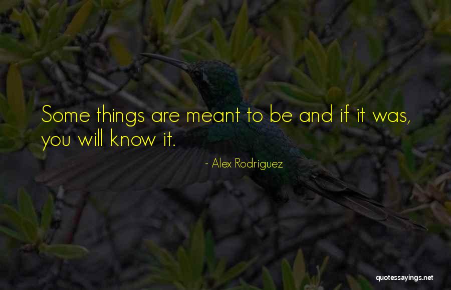 Olufunso Ayodeji Quotes By Alex Rodriguez Olufunso Ayodeji Quotes By Alex Rodriguez