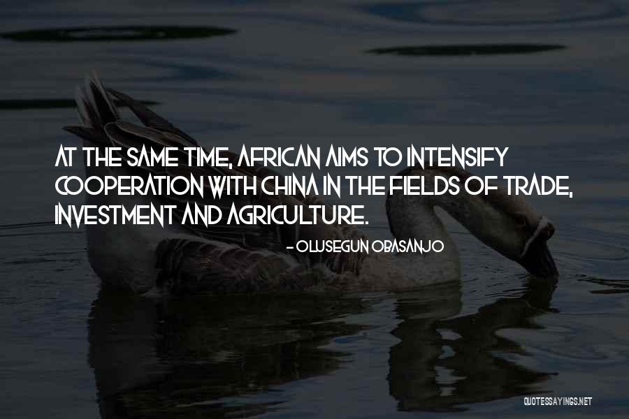 Olusegun Obasanjo Quotes 2184819