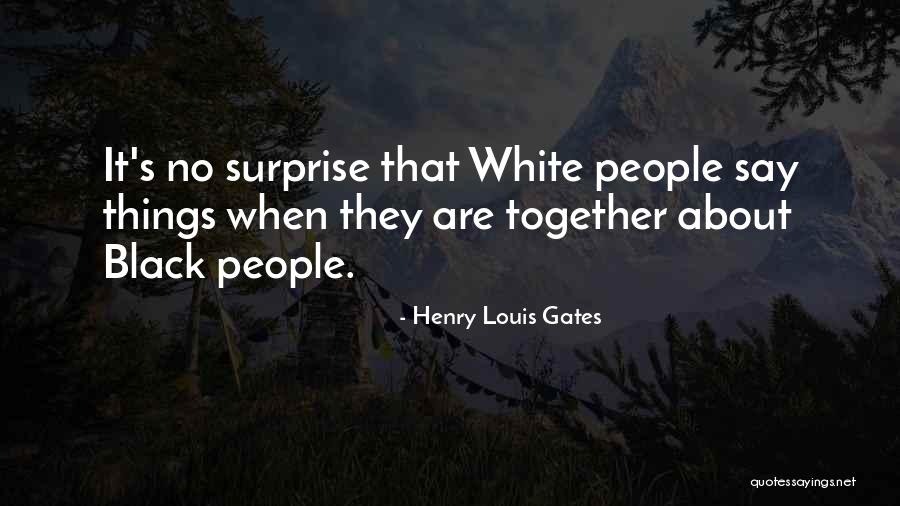 Olusola Amusan Quotes By Henry Louis Gates Olusola Amusan Quotes By Henry Louis Gates