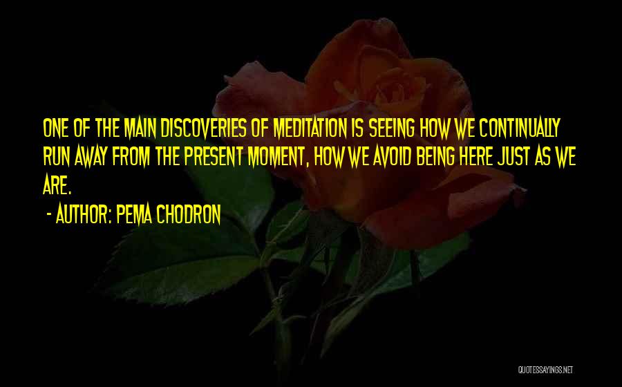 Olvidemos Letra Quotes By Pema Chodron