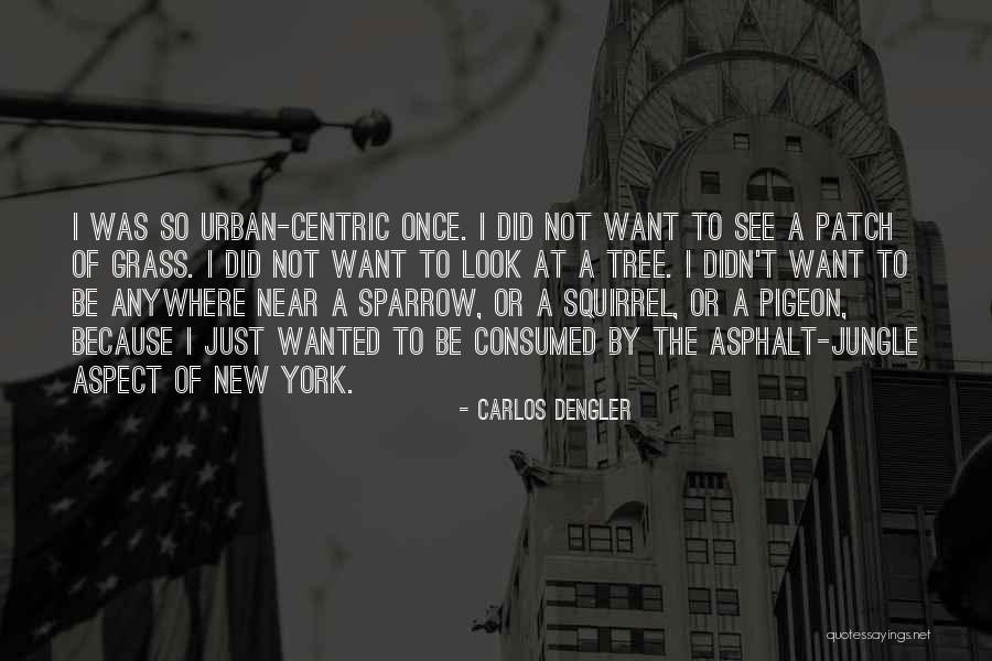 Olviden Las Cosas Quotes By Carlos Dengler Olviden Las Cosas Quotes By Carlos Dengler