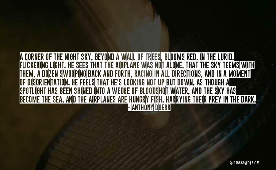 Om Namo Namah Quotes By Anthony Doerr Om Namo Namah Quotes By Anthony Doerr