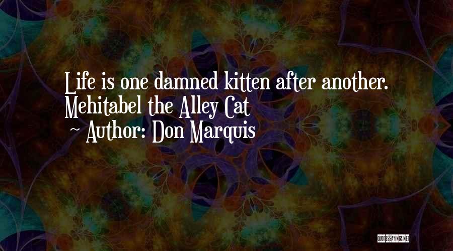 O'malley The Alley Cat Quotes By Don Marquis