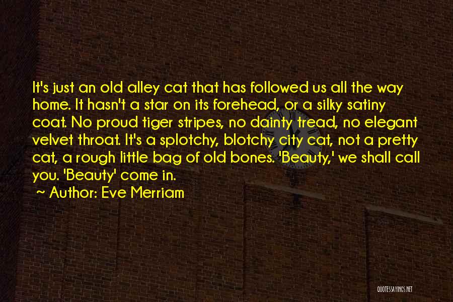 O'malley The Alley Cat Quotes By Eve Merriam