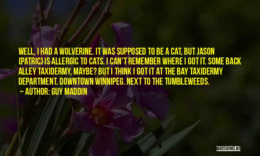 O'malley The Alley Cat Quotes By Guy Maddin