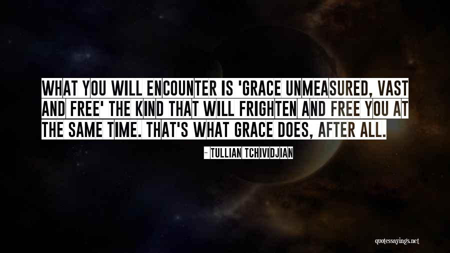 Omanel Quotes By Tullian Tchividjian Omanel Quotes By Tullian Tchividjian