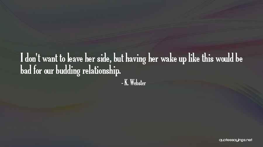Omary Ally Ahmad Quotes By K. Webster Omary Ally Ahmad Quotes By K. Webster
