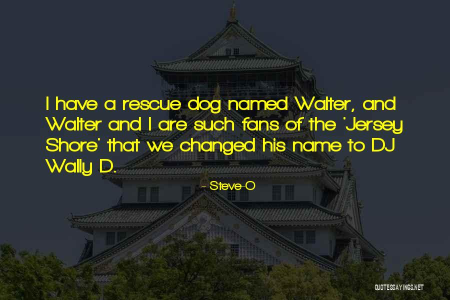 Omelchuktv Quotes By Steve-O Omelchuktv Quotes By Steve-O