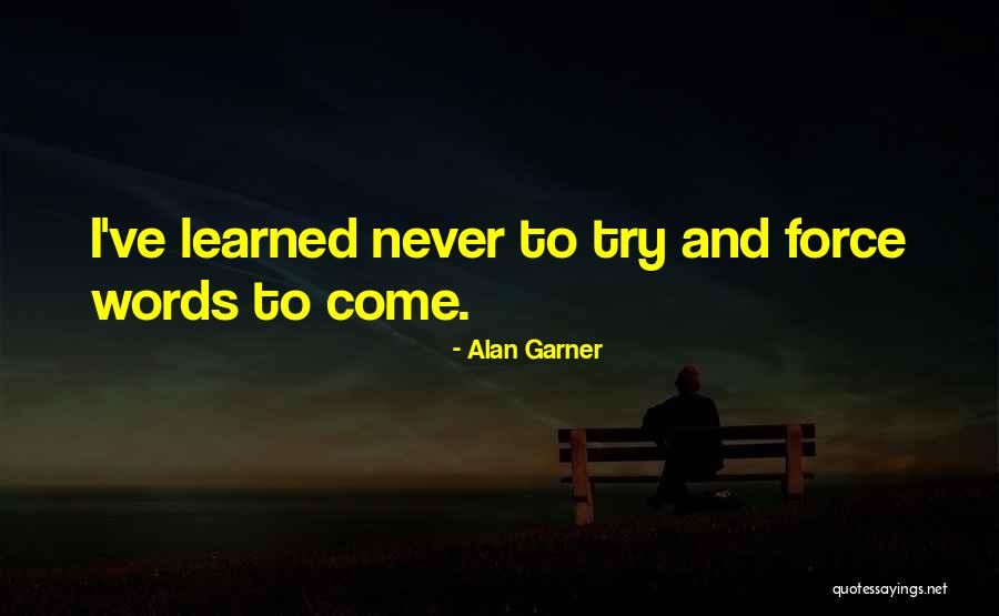 Omerovic Fahrudin Quotes By Alan Garner Omerovic Fahrudin Quotes By Alan Garner