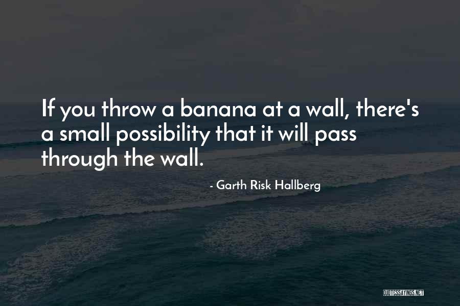 Omezen Quotes By Garth Risk Hallberg Omezen Quotes By Garth Risk Hallberg