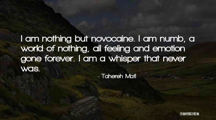 Omg Amazing Quotes By Tahereh Mafi Omg Amazing Quotes By Tahereh Mafi
