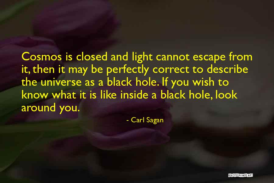 Omigosh Quotes By Carl Sagan Omigosh Quotes By Carl Sagan