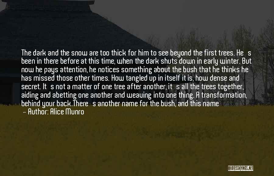 Ominous Quotes By Alice Munro