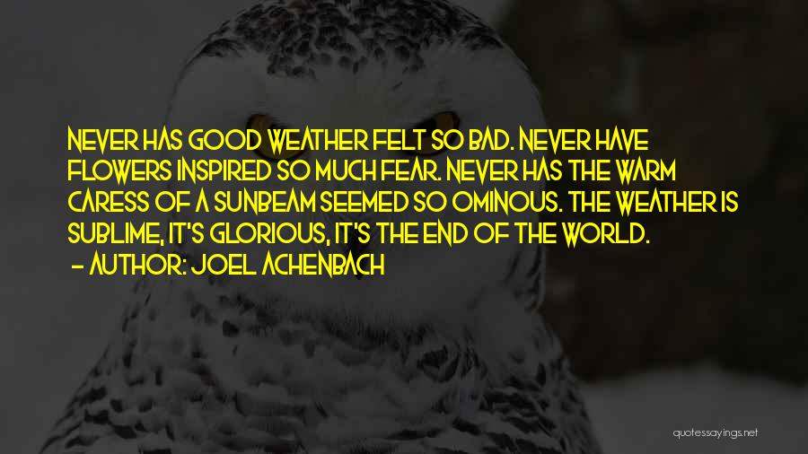 Ominous Quotes By Joel Achenbach