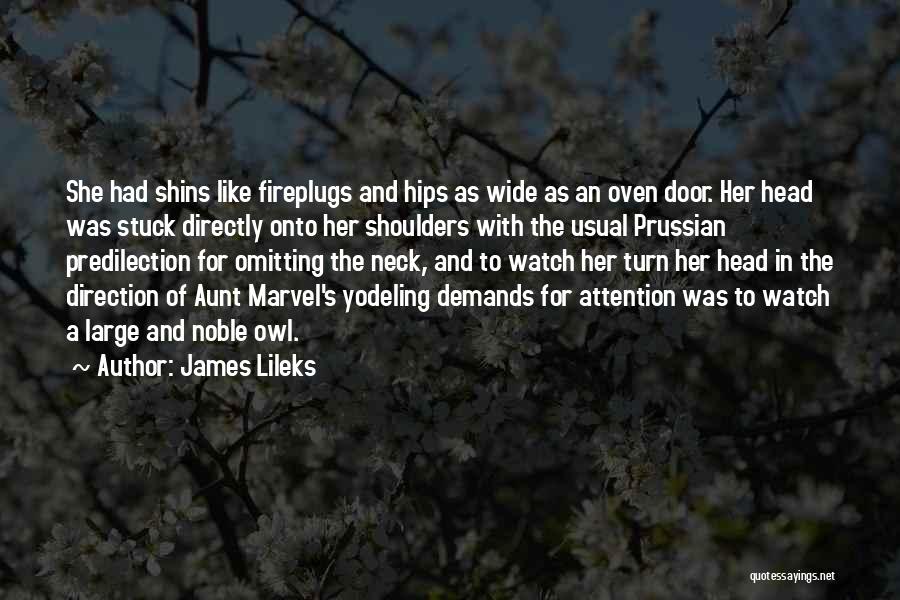 Omitting Quotes By James Lileks