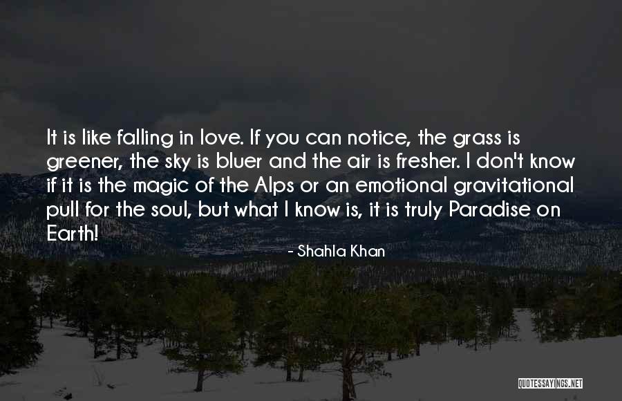 Ommert Chiropractic Quotes By Shahla Khan Ommert Chiropractic Quotes By Shahla Khan