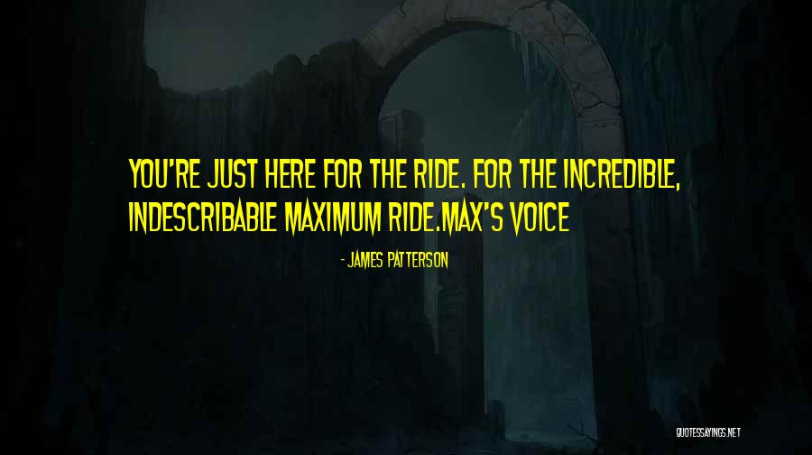 Omnidirectional Treadmill Quotes By James Patterson Omnidirectional Treadmill Quotes By James Patterson