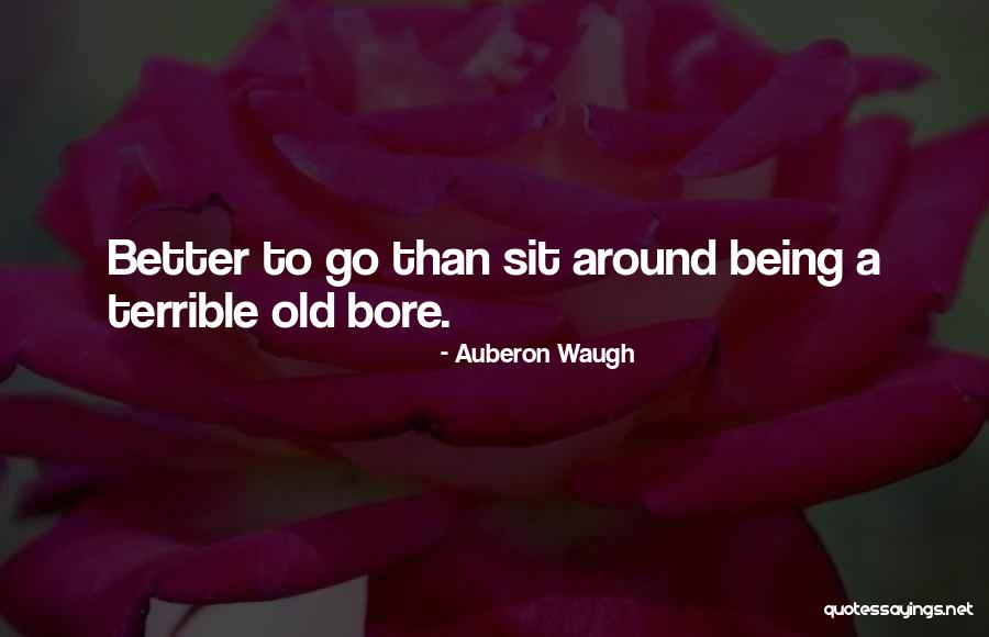 Omnipotent Bible Quotes By Auberon Waugh