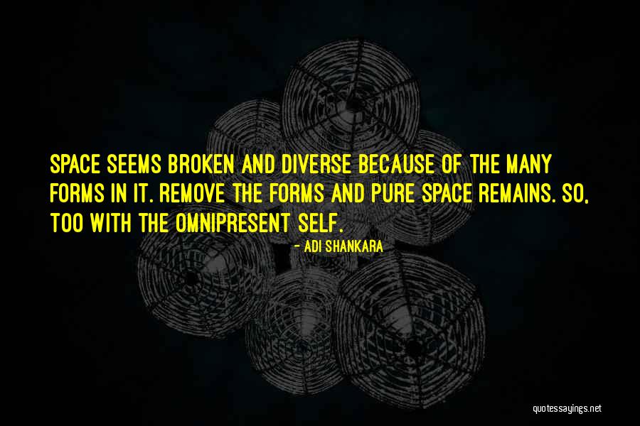 Omnipresent Quotes By Adi Shankara Omnipresent Quotes By Adi Shankara