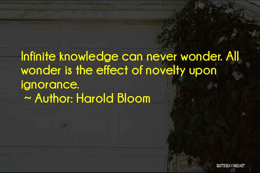 Omniscience Quotes By Harold Bloom