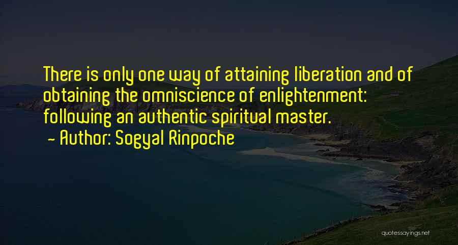 Omniscience Quotes By Sogyal Rinpoche