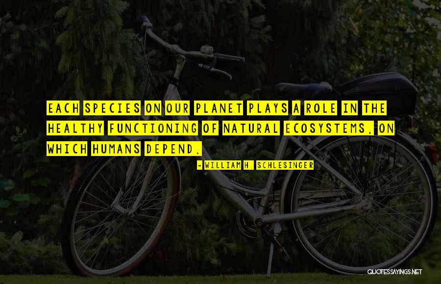 Omwillen Quotes By William H. Schlesinger Omwillen Quotes By William H. Schlesinger
