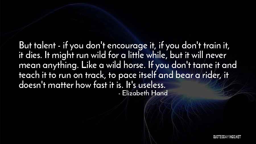 Omzuma Yaslan Quotes By Elizabeth Hand Omzuma Yaslan Quotes By Elizabeth Hand