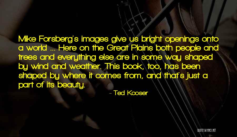 On Beauty Book Quotes By Ted Kooser On Beauty Book Quotes By Ted Kooser