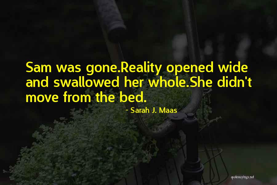 On Charlie Rose 2007 Quotes By Sarah J. Maas On Charlie Rose 2007 Quotes By Sarah J. Maas