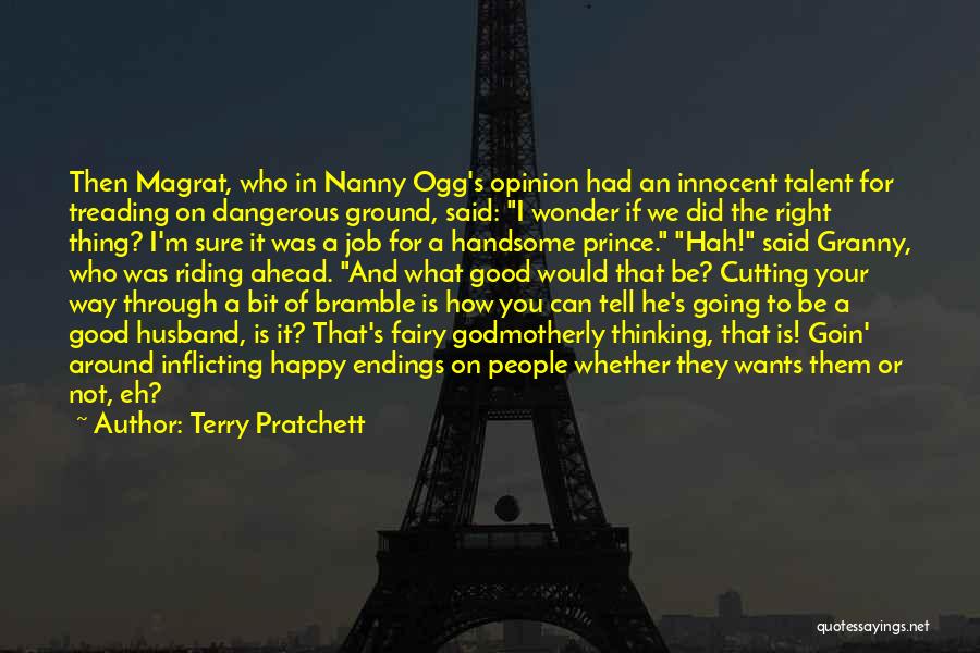 On Dangerous Ground Quotes By Terry Pratchett