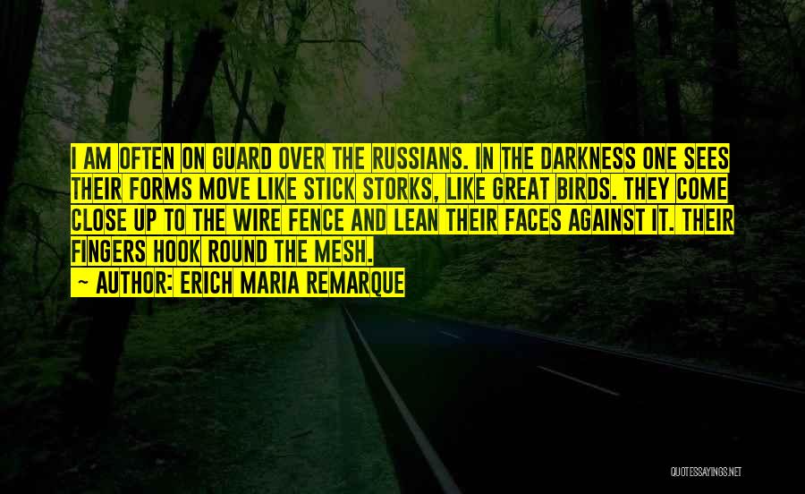 On Guard Quotes By Erich Maria Remarque