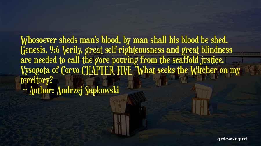 On His Blindness Quotes By Andrzej Sapkowski