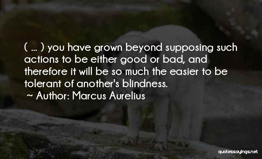 On His Blindness Quotes By Marcus Aurelius