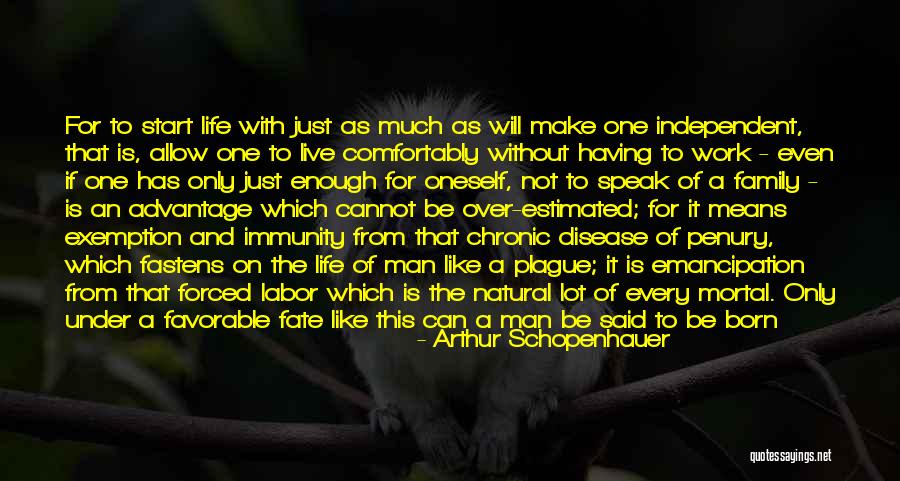 On Immunity Quotes By Arthur Schopenhauer On Immunity Quotes By Arthur Schopenhauer