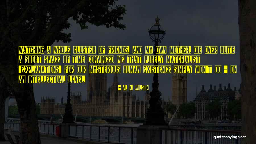 On My Level Quotes By A. N. Wilson On My Level Quotes By A. N. Wilson