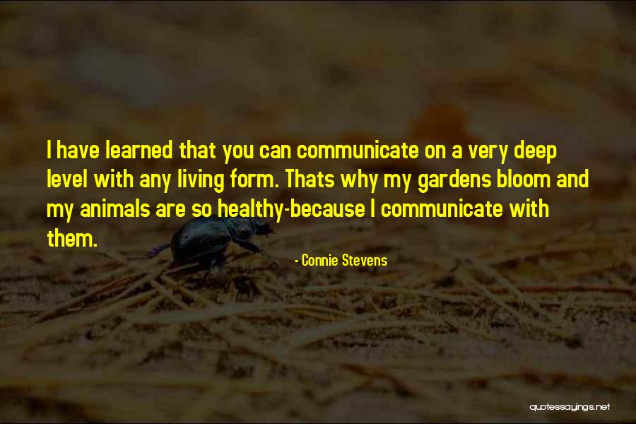 On My Level Quotes By Connie Stevens On My Level Quotes By Connie Stevens