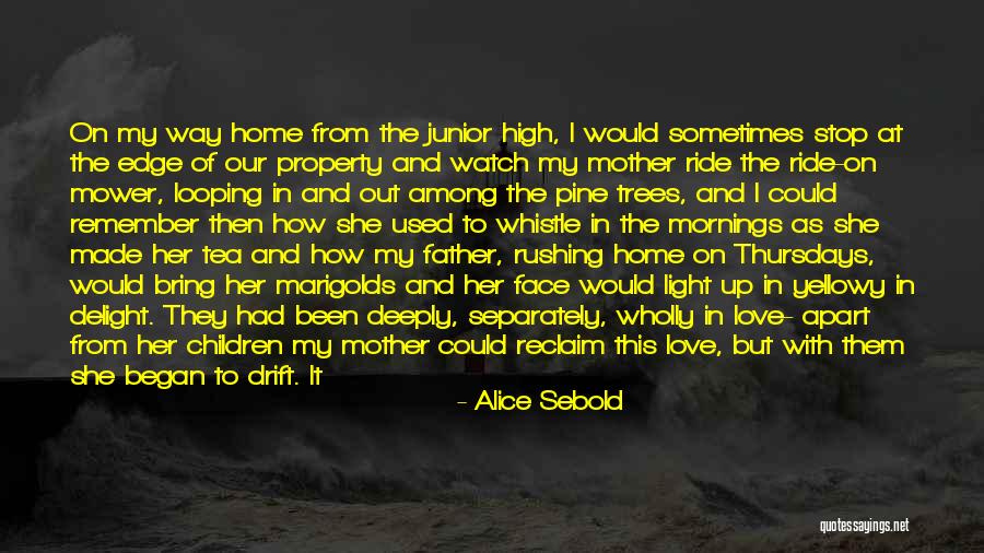 On My Way Home Quotes By Alice Sebold On My Way Home Quotes By Alice Sebold