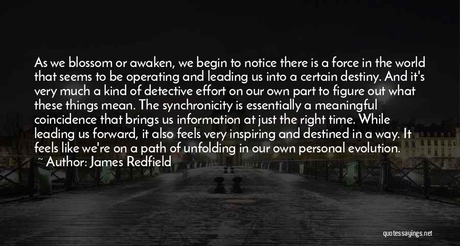 On Right Path Quotes By James Redfield