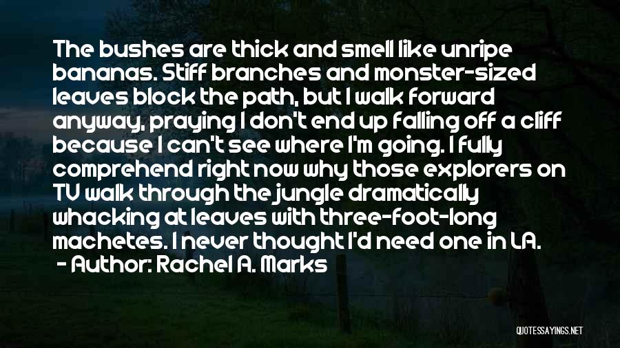 On Right Path Quotes By Rachel A. Marks