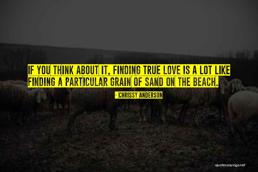 On The Beach Love Quotes By Chrissy Anderson