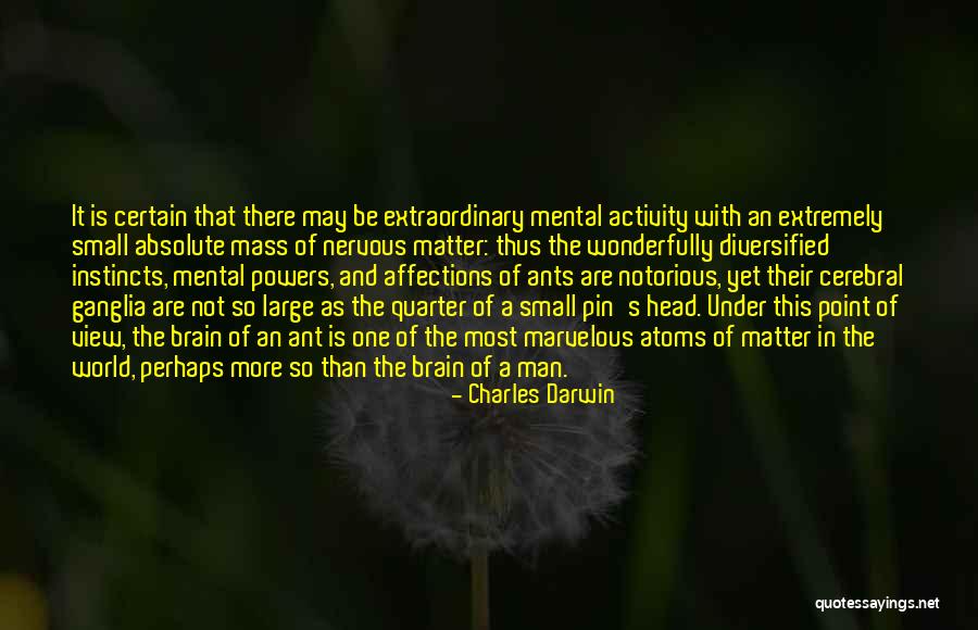 On The Head Of A Pin Quotes By Charles Darwin On The Head Of A Pin Quotes By Charles Darwin