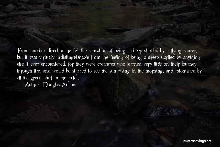 On The Journey Of Life Quotes By Douglas Adams