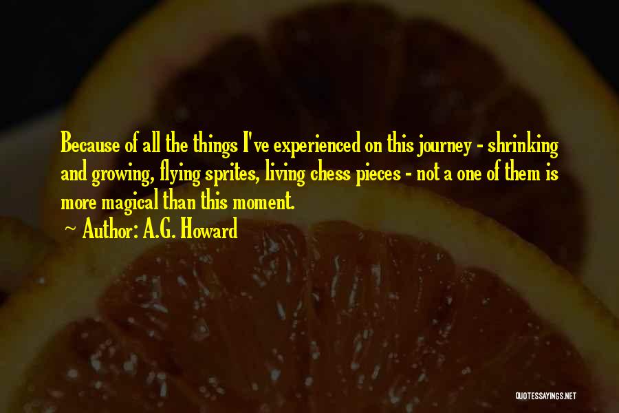 On The Journey Quotes By A.G. Howard