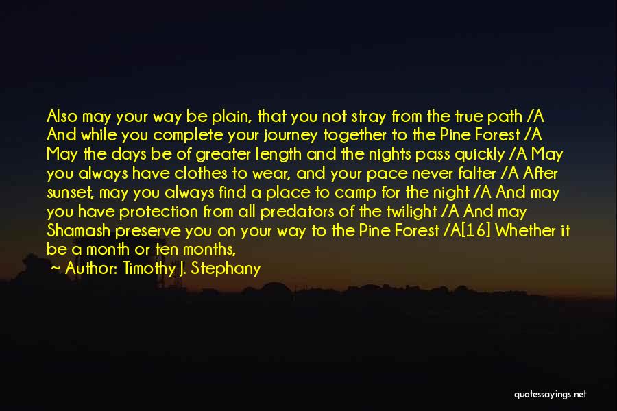 On The Journey Quotes By Timothy J. Stephany