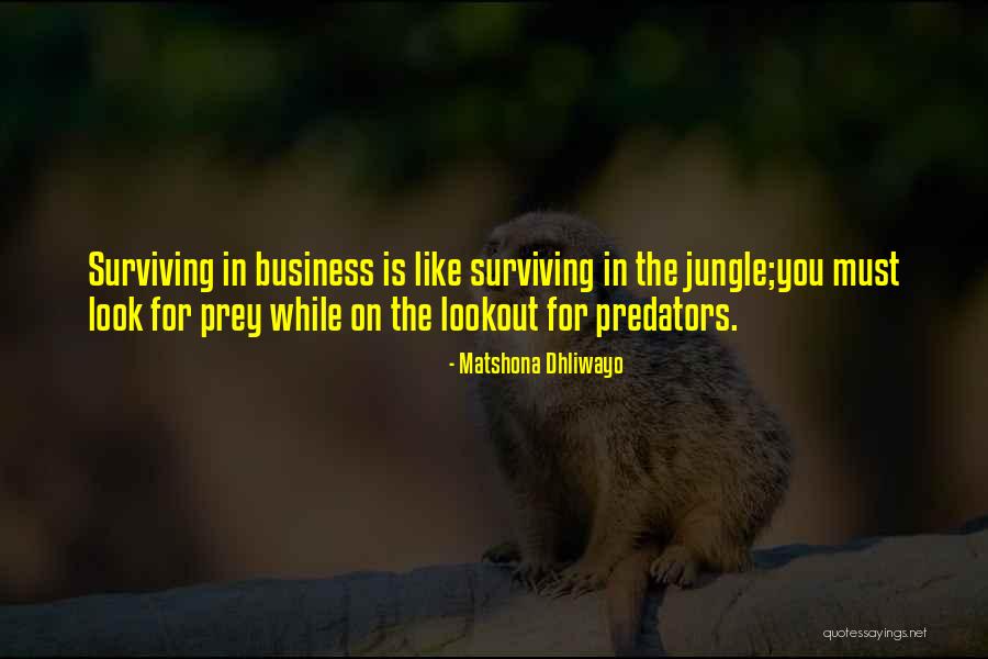 On The Lookout Quotes By Matshona Dhliwayo On The Lookout Quotes By Matshona Dhliwayo