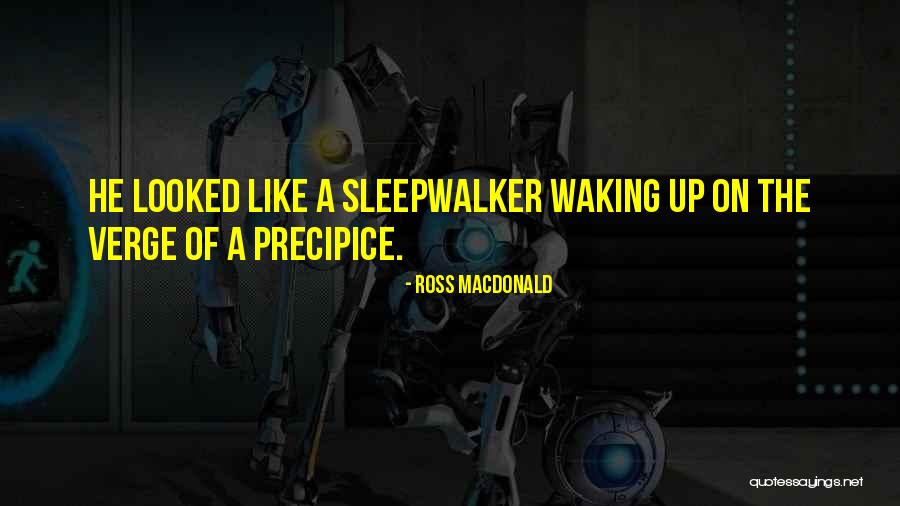 On The Precipice Quotes By Ross Macdonald On The Precipice Quotes By Ross Macdonald
