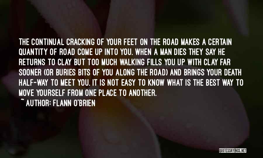 On The Road Best Quotes By Flann O'Brien