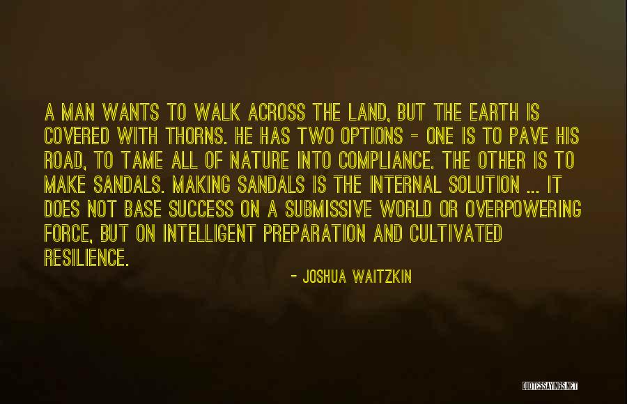 On The Road To Success Quotes By Joshua Waitzkin On The Road To Success Quotes By Joshua Waitzkin