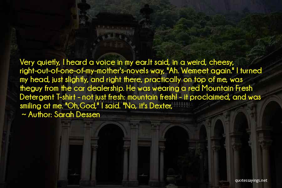 On Top Of Mountain Quotes By Sarah Dessen